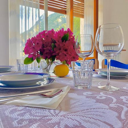 Lake Como Victoria Apartment Oliveto Lario Bagian luar foto